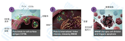 高博醫學阿特蒙腫瘤中心